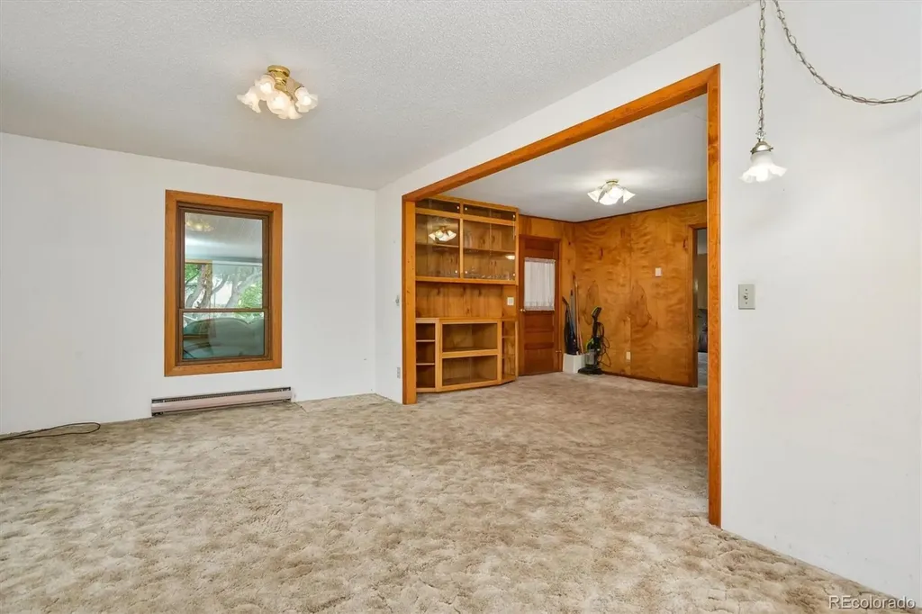 15380 County Road 350 Buena Vista CO 81211
