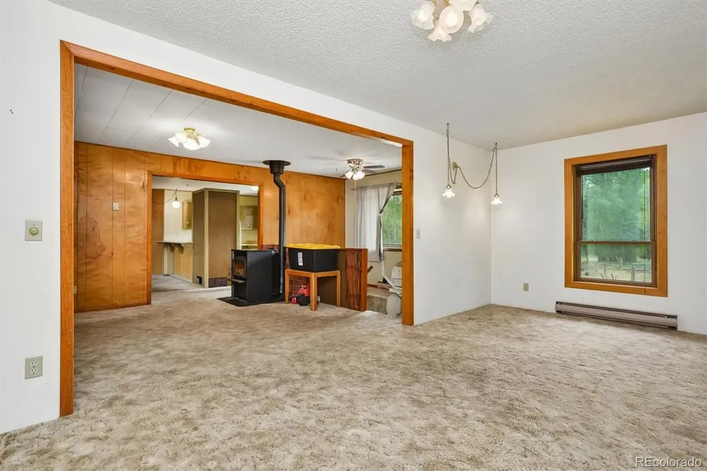 15380 County Road 350 Buena Vista CO 81211