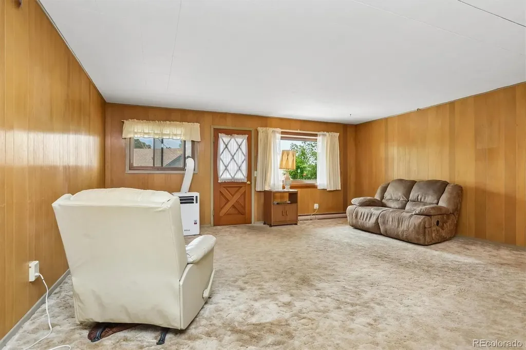 15380 County Road 350 Buena Vista CO 81211