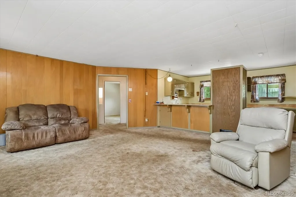 15380 County Road 350 Buena Vista CO 81211