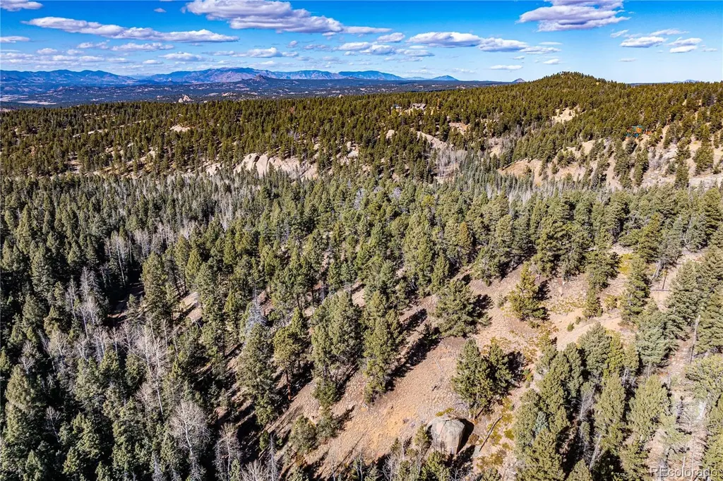 0 Arrowhead Road Florissant CO 80816