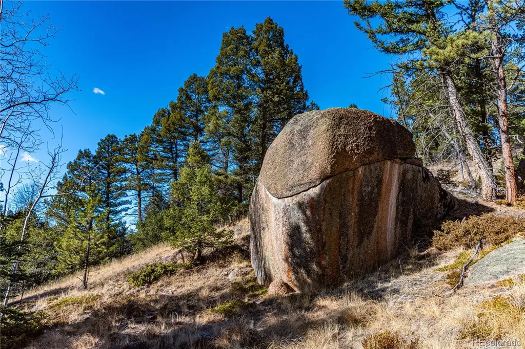 0 Arrowhead Road Florissant CO 80816