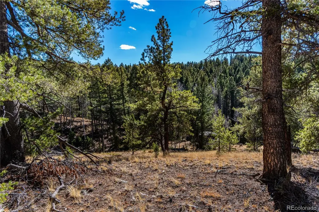 0 Arrowhead Road Florissant CO 80816