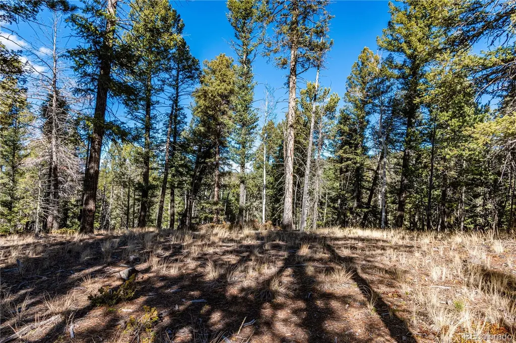 0 Arrowhead Road Florissant CO 80816