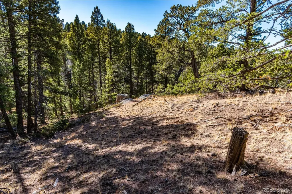 0 Arrowhead Road Florissant CO 80816