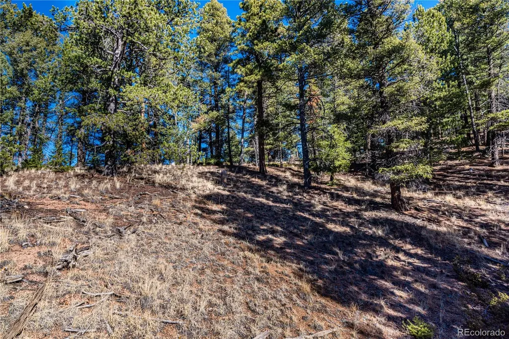 0 Arrowhead Road Florissant CO 80816