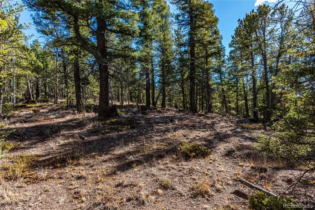 0 Arrowhead Road Florissant CO 80816