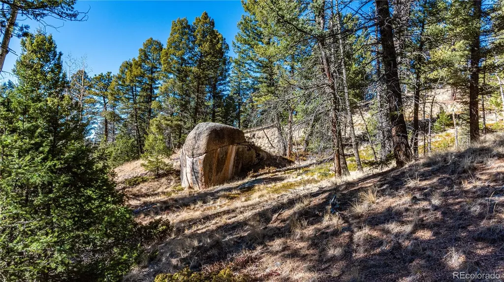 0 Arrowhead Road Florissant CO 80816