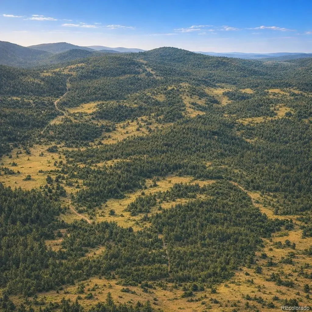 0 Arrowhead Road Florissant CO 80816