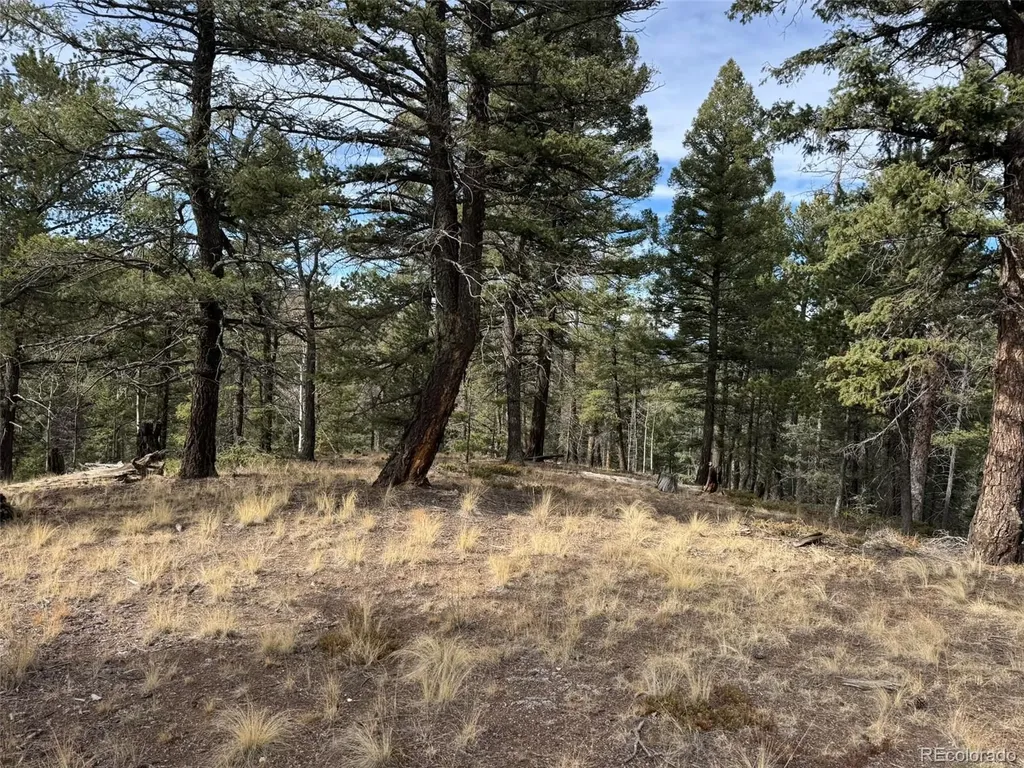 0 Arrowhead Road Florissant CO 80816