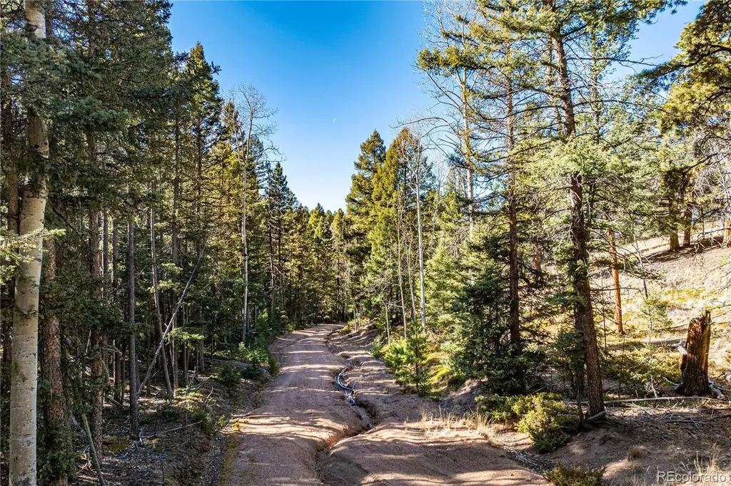 0 Arrowhead Road Florissant CO 80816