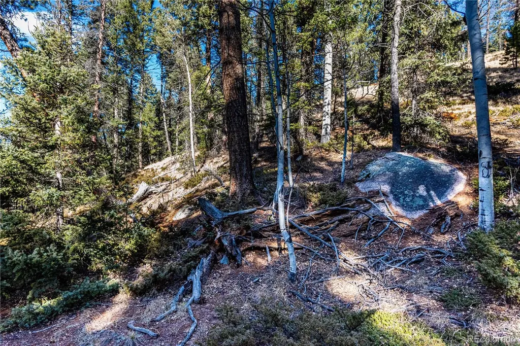 0 Arrowhead Road Florissant CO 80816