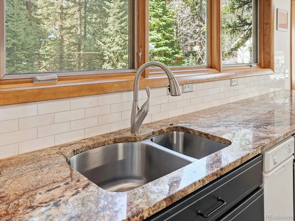 2547 Mill Creek Road Idaho Springs CO 80452