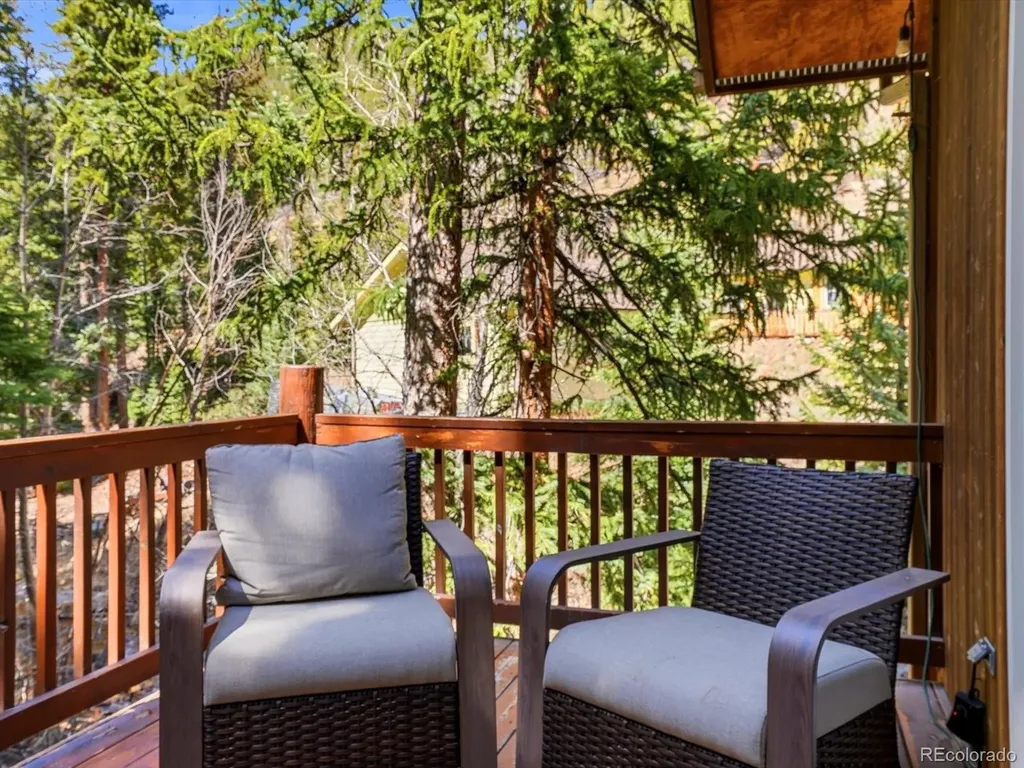 2547 Mill Creek Road Idaho Springs CO 80452