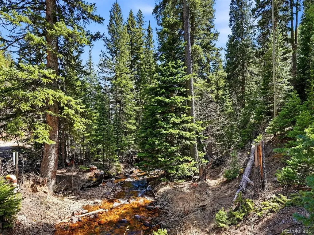 2547 Mill Creek Road Idaho Springs CO 80452
