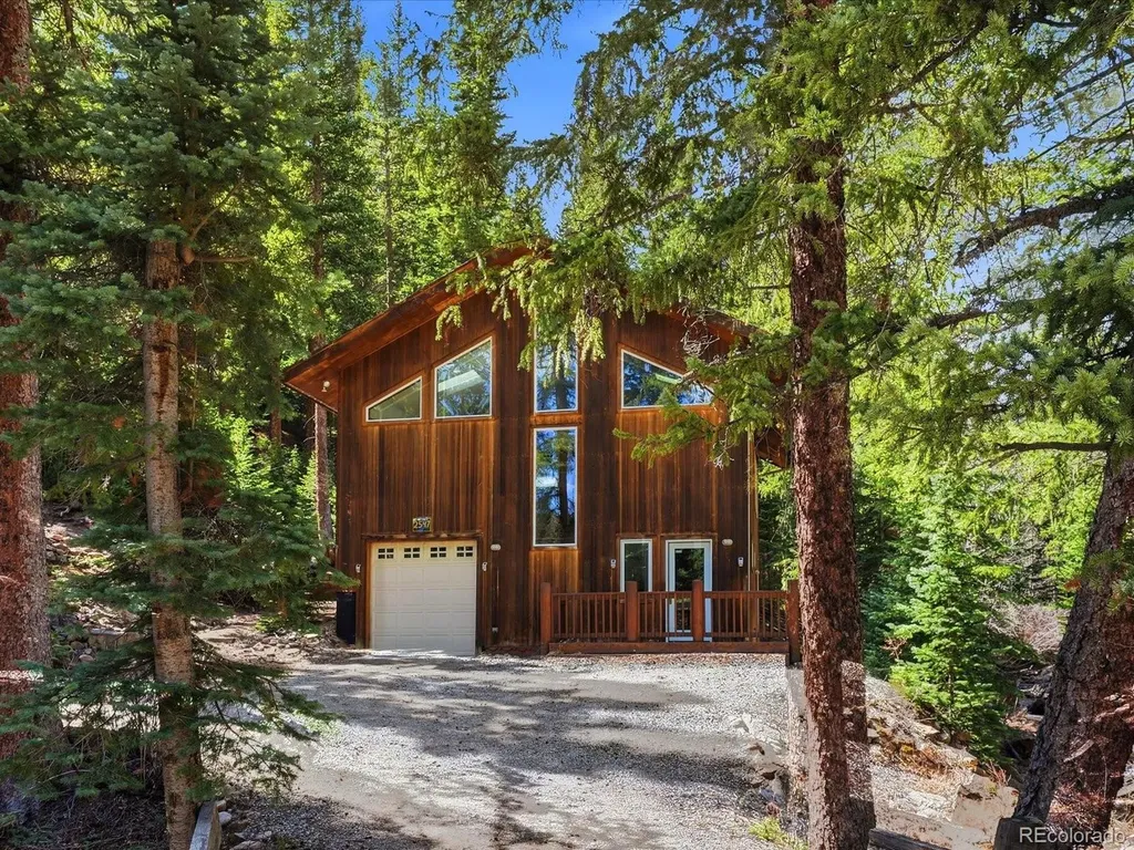 2547 Mill Creek Road Idaho Springs CO 80452