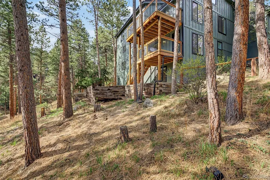 29036 Clover Lane Evergreen CO 80439