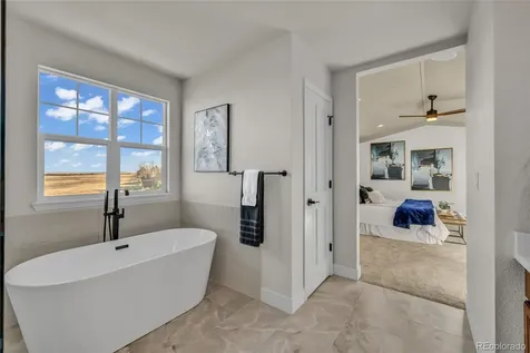 858 Dutton Court Castle Rock CO 80104
