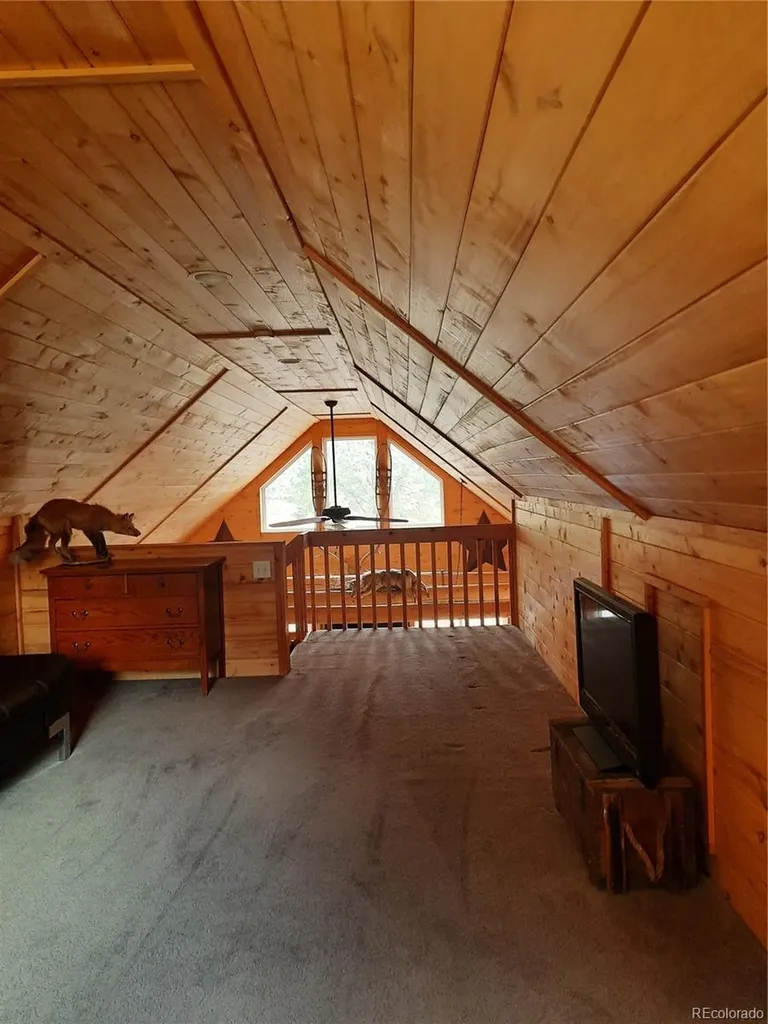 394 County Road 62 Grant CO 80448