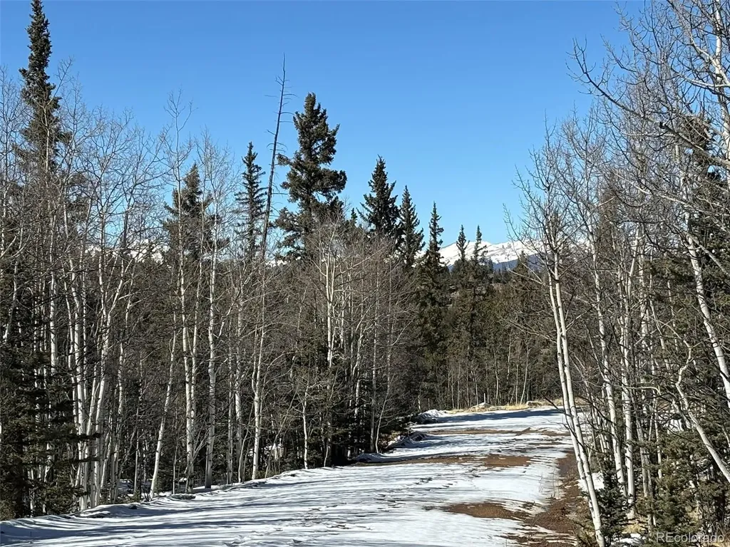 192 Bear Way Como CO 80432