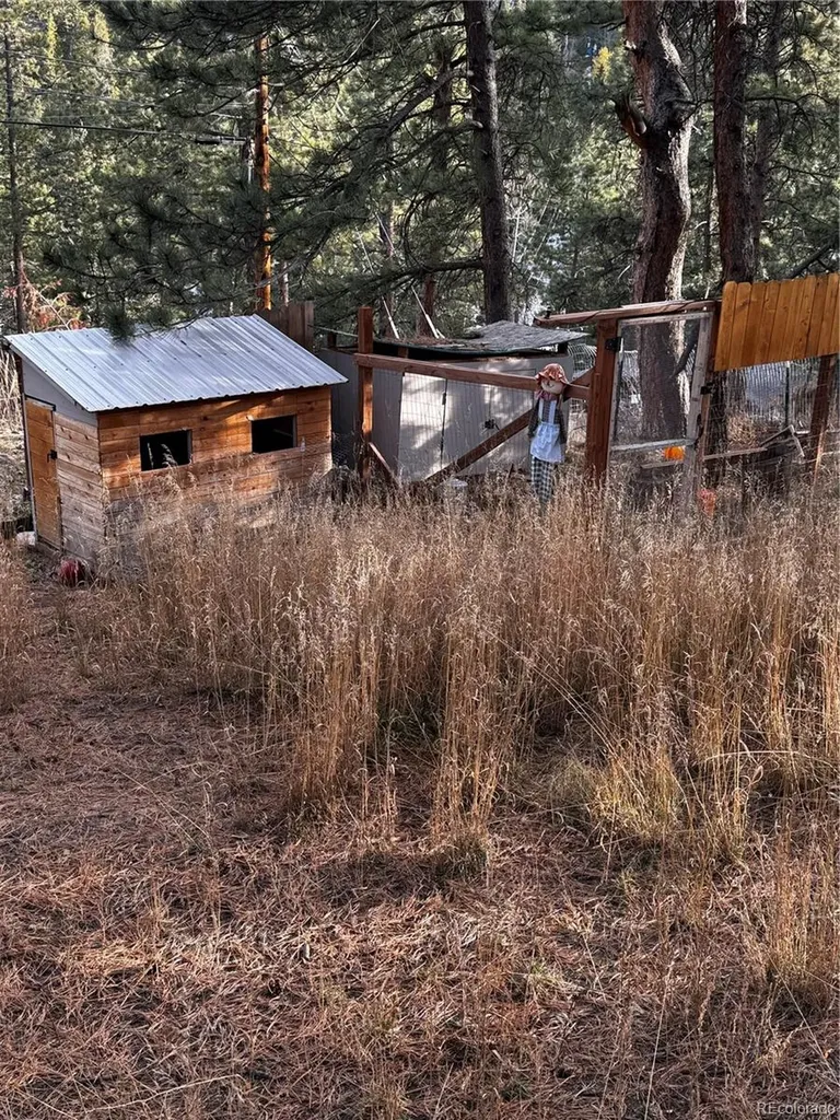 10627 Twin Spruce Road Golden CO 80403