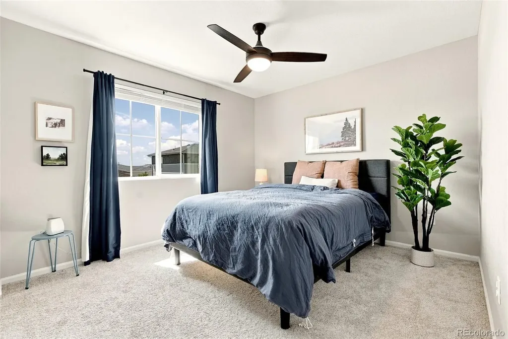4345 Rapport Drive Castle Rock CO 80104