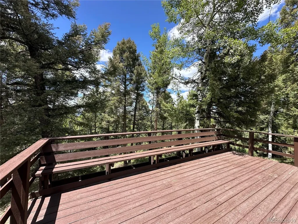 45 La Abu Trail Florissant CO 80816