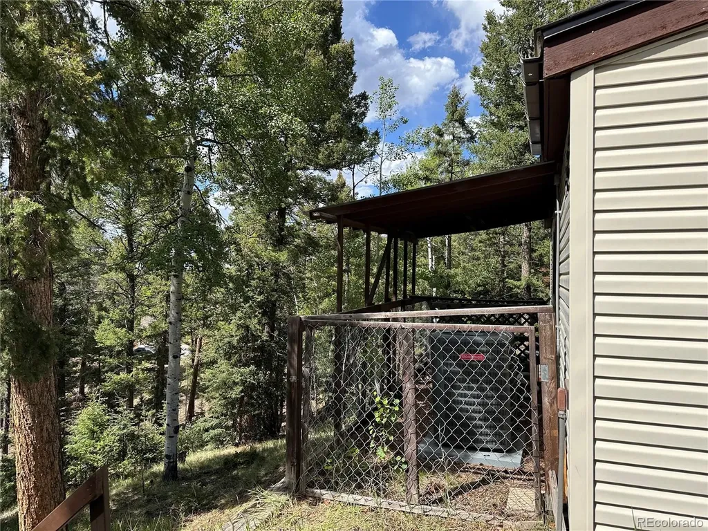 45 La Abu Trail Florissant CO 80816