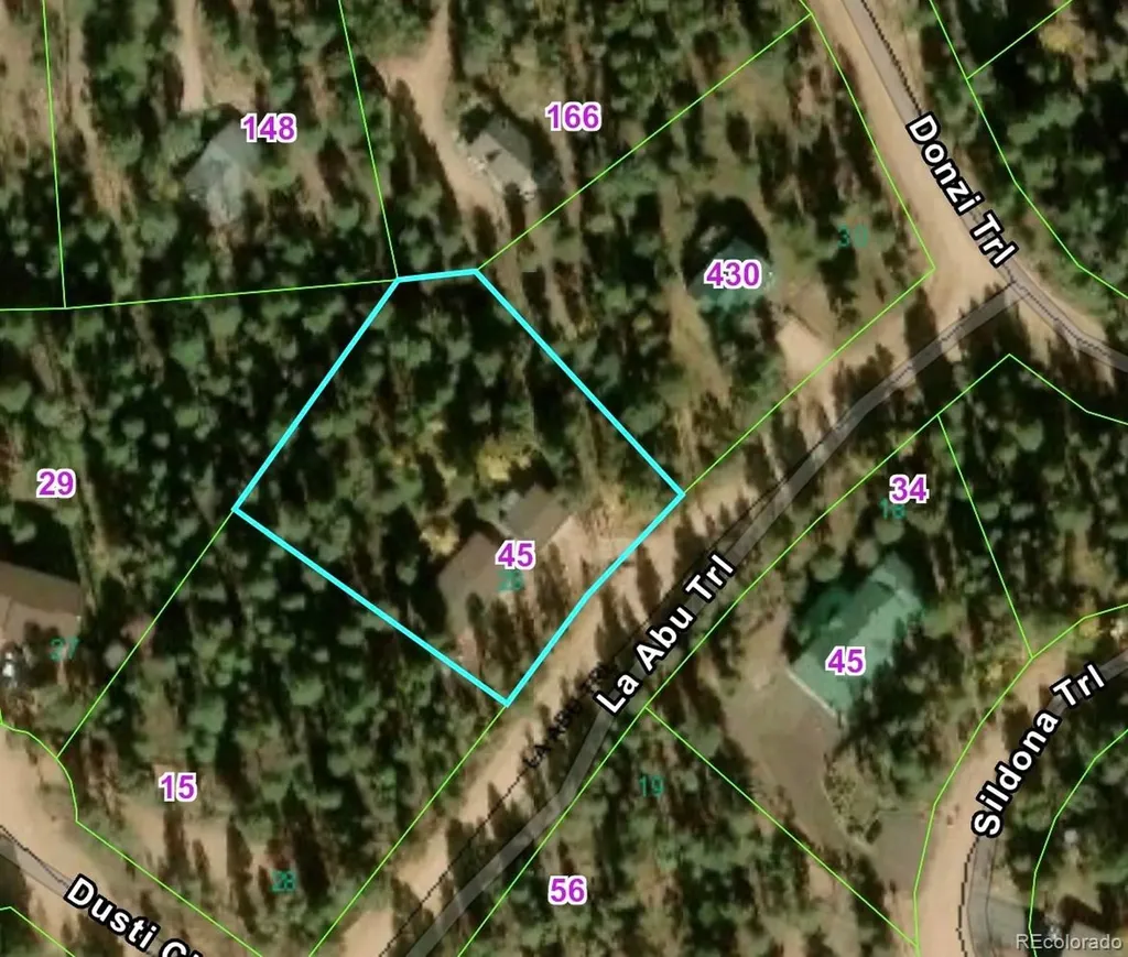 45 La Abu Trail Florissant CO 80816