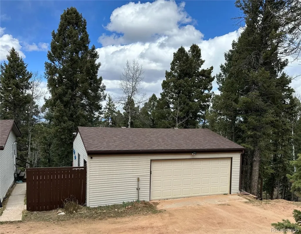 45 La Abu Trail Florissant CO 80816