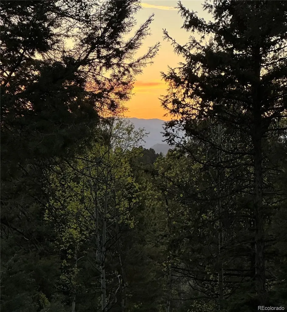 45 La Abu Trail Florissant CO 80816