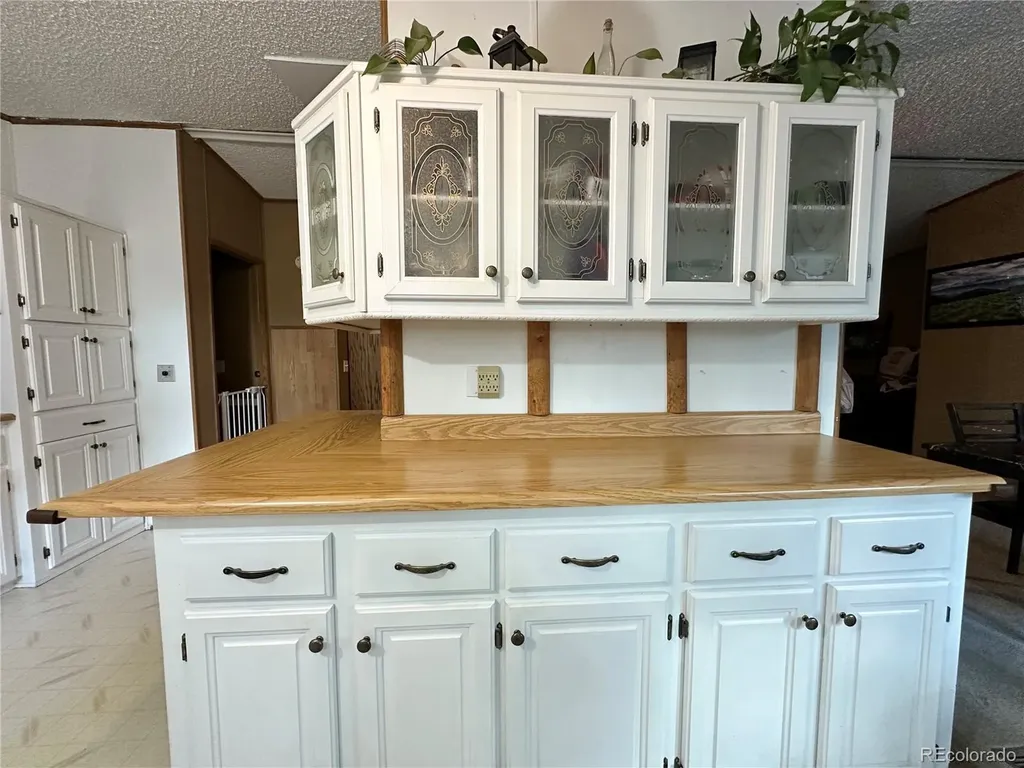 45 La Abu Trail Florissant CO 80816