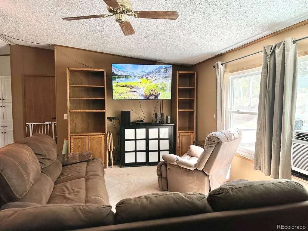 45 La Abu Trail Florissant CO 80816