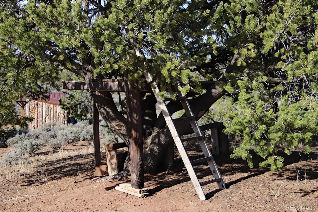 6132 Running Horse Trail San Luis CO 81152