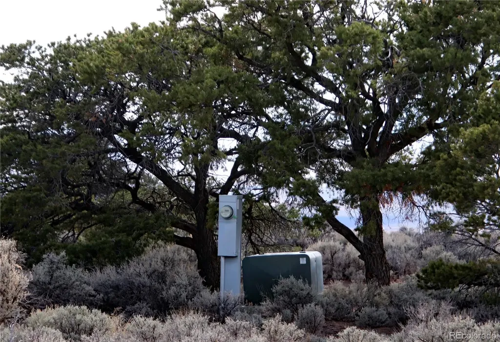 6132 Running Horse Trail San Luis CO 81152