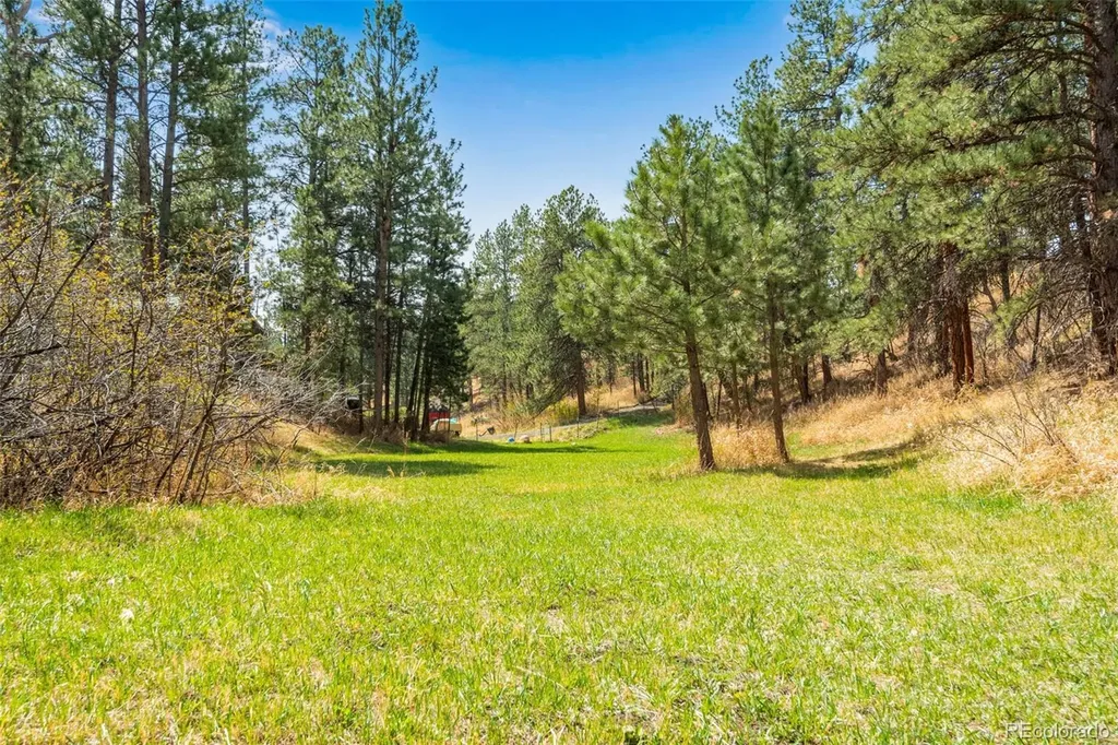 485 Wren Place Drake CO 80515