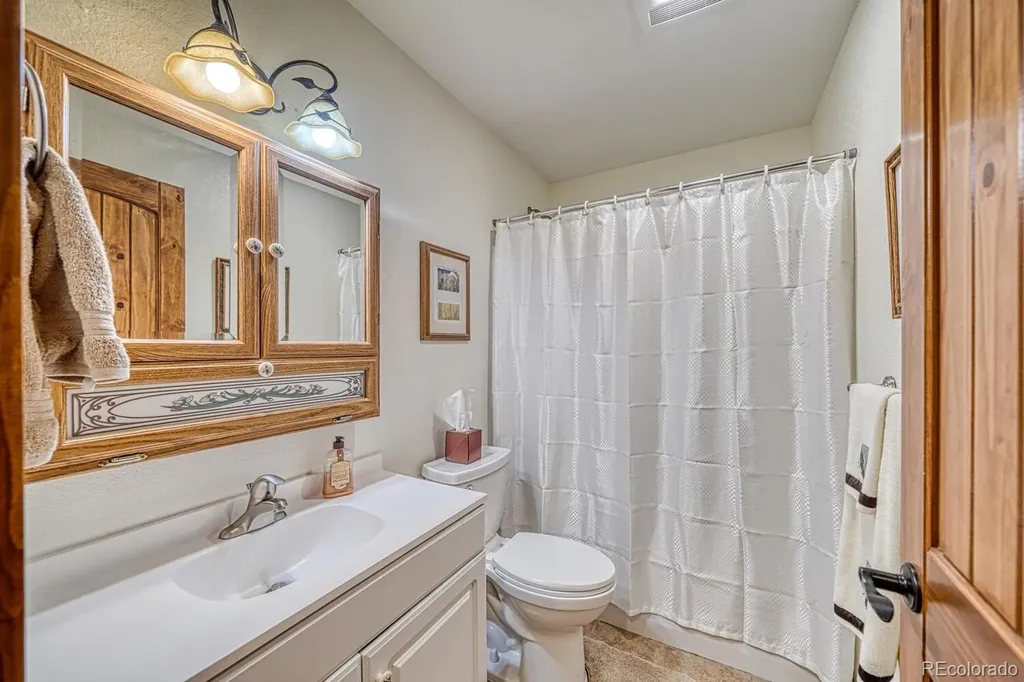 15550 Silver Tip Court Buena Vista CO 81211