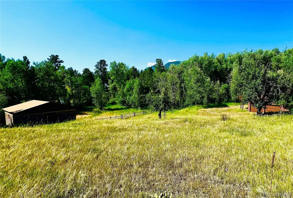 222 Clio Avenue Palmer Lake CO 80133