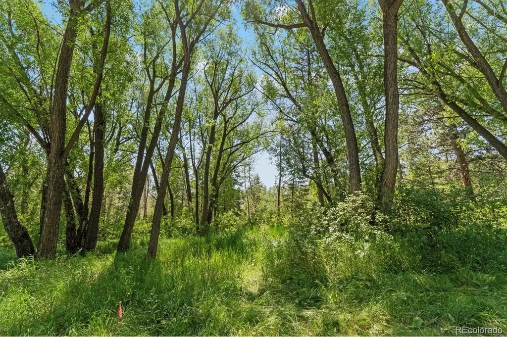 222 Clio Avenue Palmer Lake CO 80133