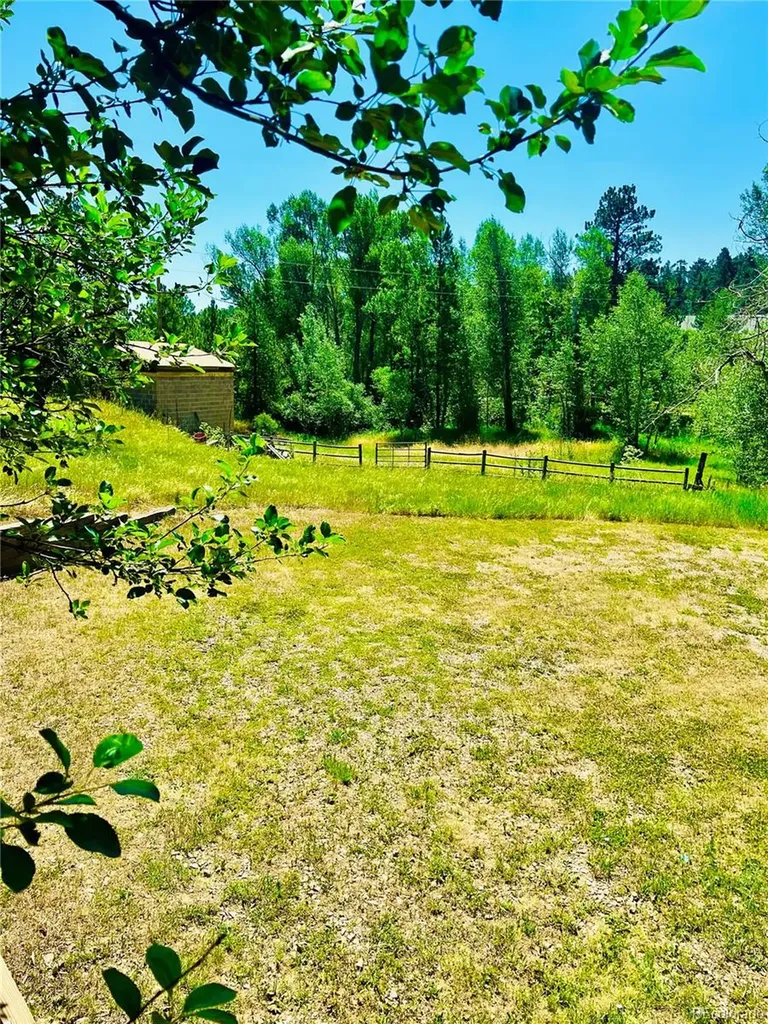 222 Clio Avenue Palmer Lake CO 80133