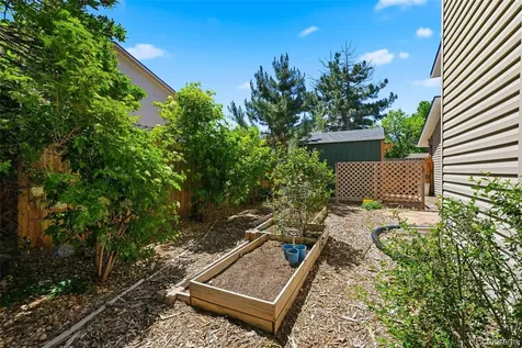 927 Oakwood Drive Castle Rock CO 80104