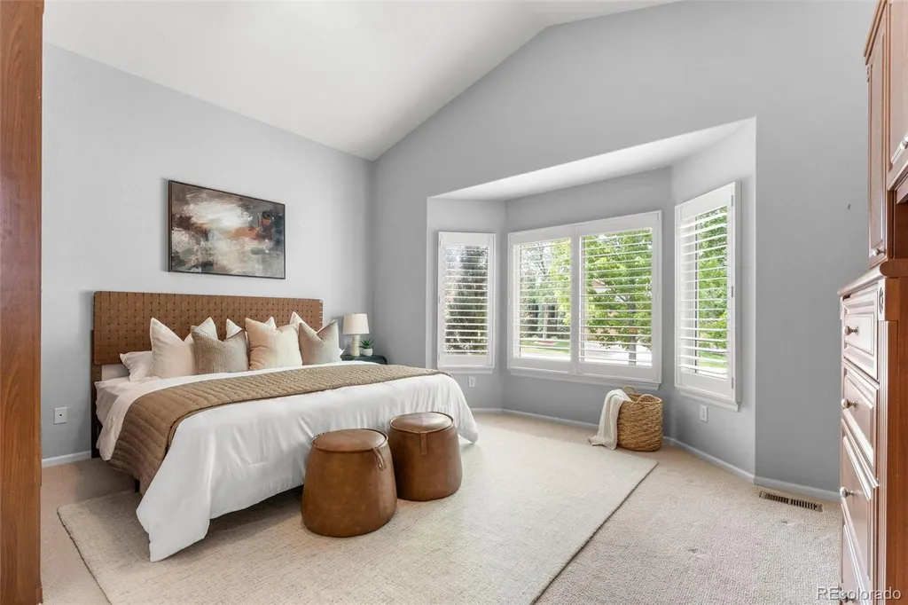 9723 Brook Hill Court Lone Tree CO 80124