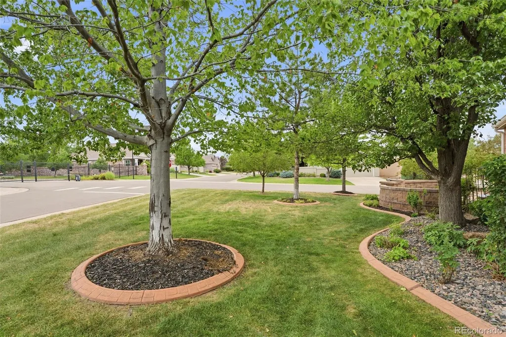 9723 Brook Hill Court Lone Tree CO 80124