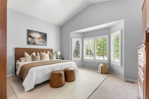 9723 Brook Hill Court Lone Tree CO 80124