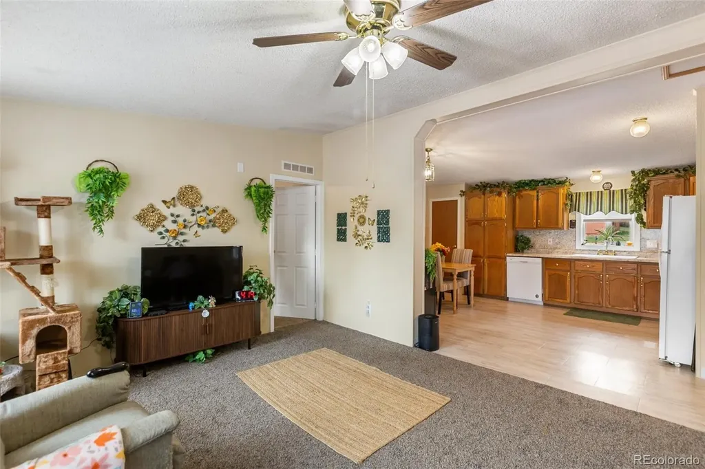 427 S Woodland Avenue Woodland Park CO 80863