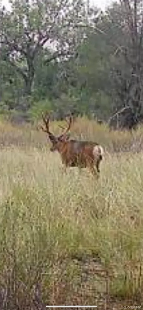 000 Daniel Road Pueblo CO 81006