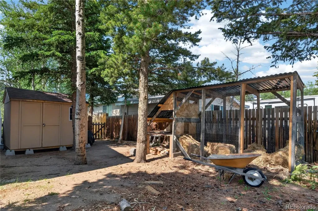 336 E Mountain Avenue Empire CO 80438