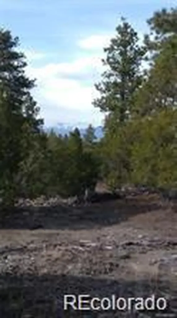 Tract 2 Costilla Place Alamosa CO 81101