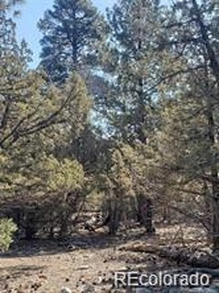 Tract 2 Costilla Place Alamosa CO 81101