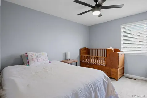1720 Wild Rye Court Castle Rock CO 80109